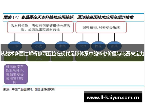 从战术多面性解析穆西亚拉在现代足球体系中的核心价值与比赛决定力 从战术多面性解析穆西亚拉在现代足球体系中的核心价值与比赛决定力